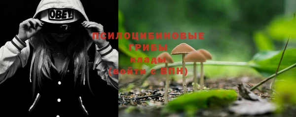 бутират Елабуга