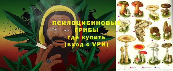 бутират Елабуга